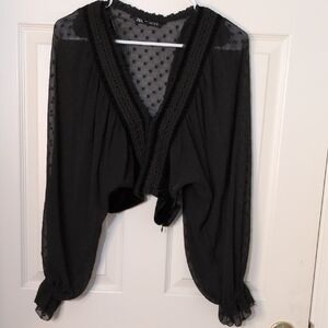 Zara Black Partial Sheer Long Sleeve Blouse with Lace Trim